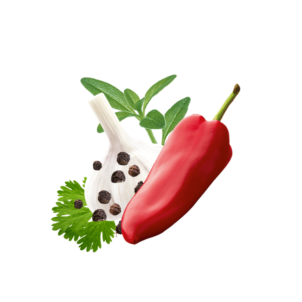 Paprika, Knoblauch, Pfeffer, Thymian und Koriander