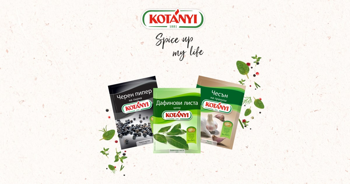 OLD MOUNTAIN×botanize×Koti KAKERUYATU